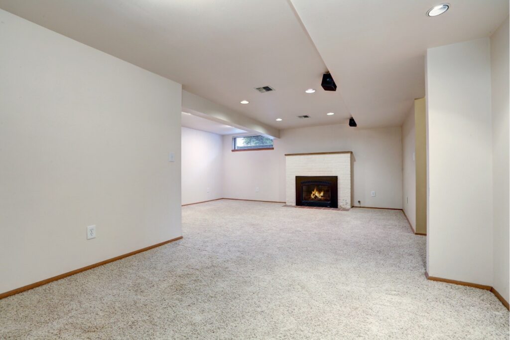 basement_tulip